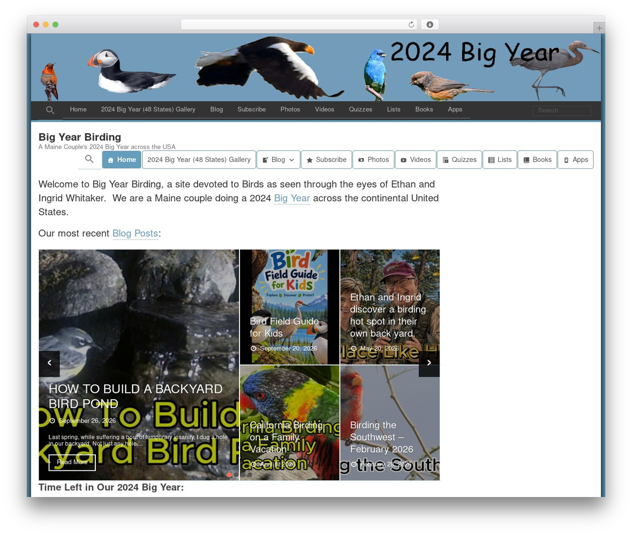 Evolution theme WordPress - bigyearbirding.com