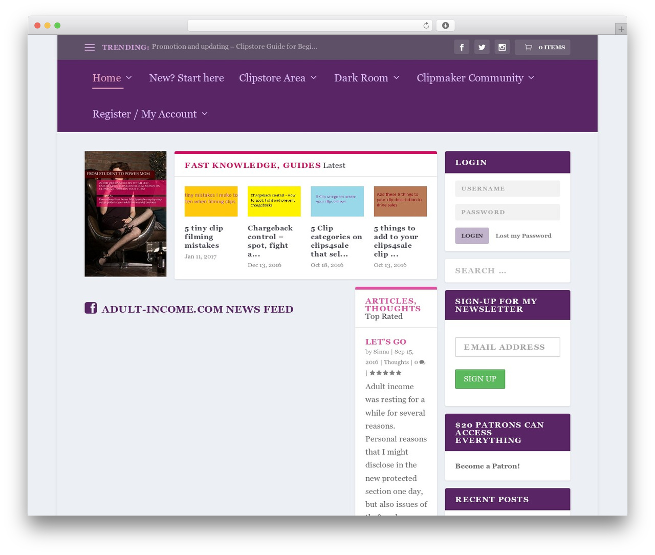 Extra theme WordPress - adult-income.com
