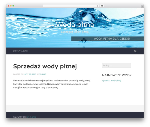 Accent WordPress theme - wodapitna.com