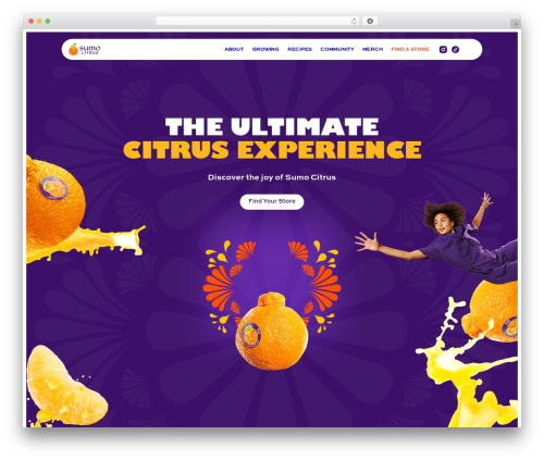 Tasty recipes WordPress plugin - sumocitrus.com