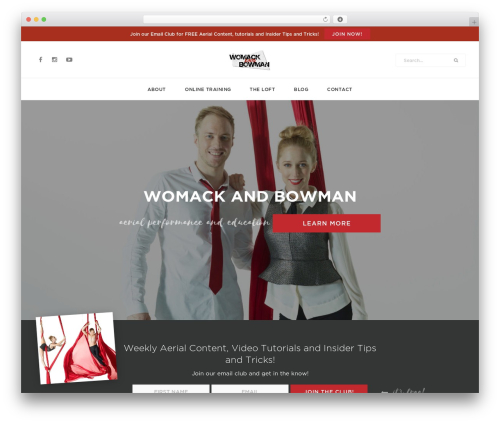 Conversion Cats WordPress theme design - womackandbowman.com