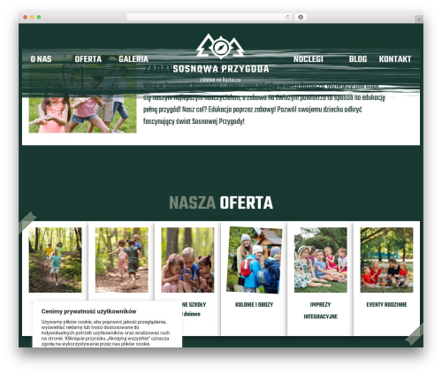 Hello Elementor WordPress theme - sosnowaprzygoda.pl