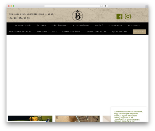 Refined Theme WordPress theme design - bakonycentrum.hu