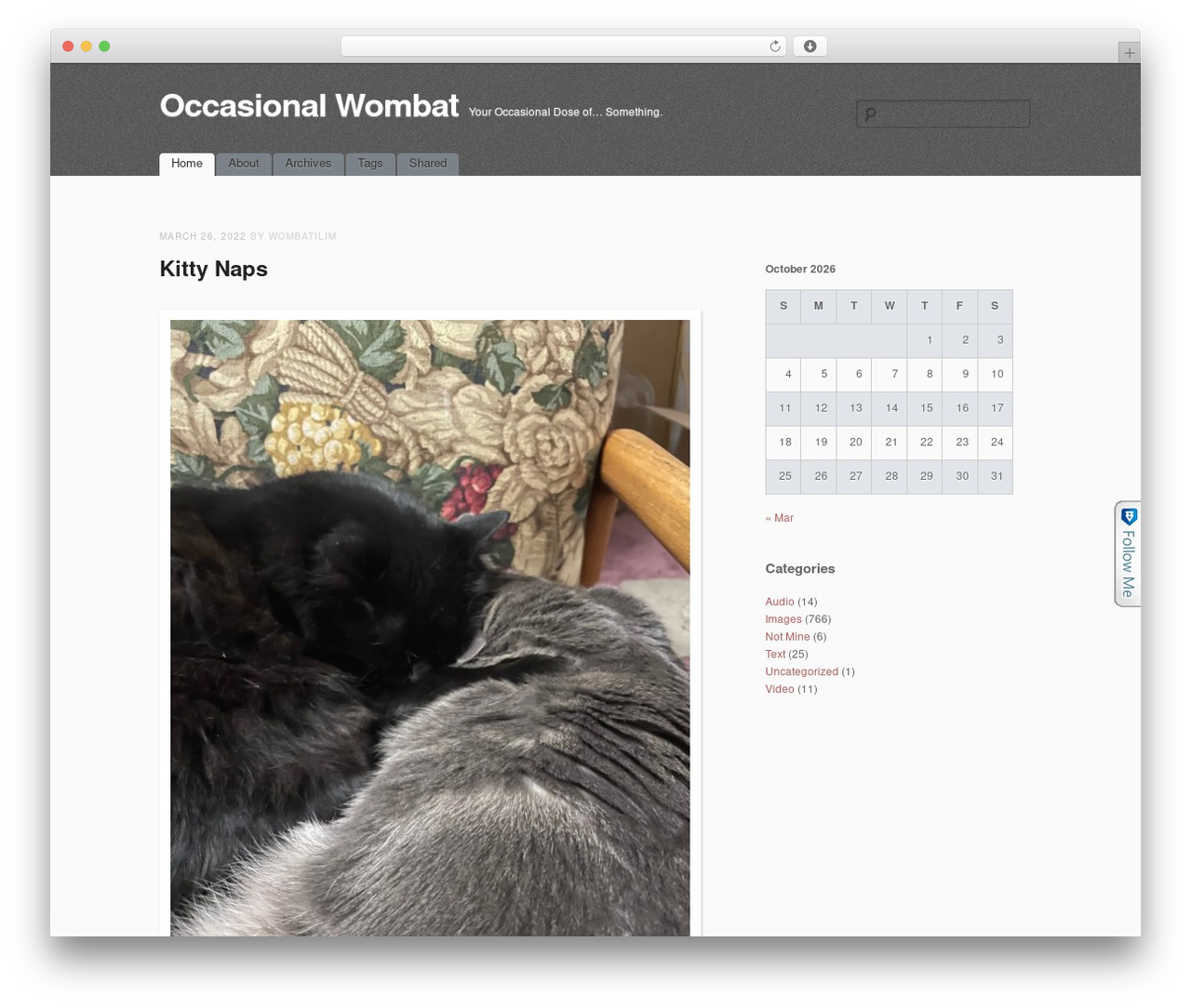 simpleX top WordPress theme - wombatilim.com simpleX top WordPress theme - wombatilim.com