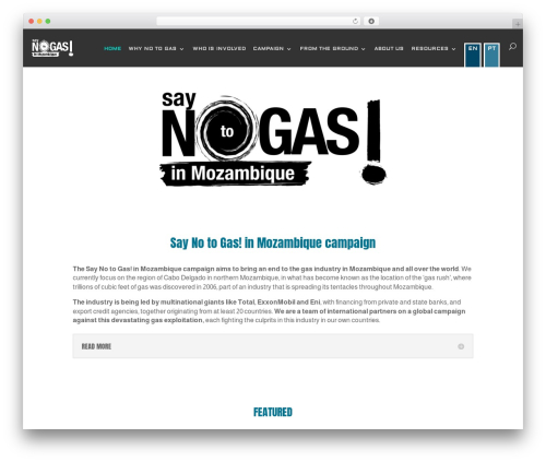 Theme WordPress Divi - stopmozgas.org