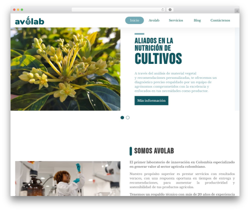 Block Editor Bootstrap Blocks (block-editor-bootstrap-blocks) free WordPress plugin - avolab.com.co Block Editor Bootstrap Blocks (block-editor-bootstrap-blocks) free WordPress plugin - avolab.com.co