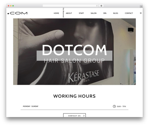Theme WordPress DotCom - dotcomhair.com