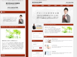 Theme WordPress smart074 by social-agent