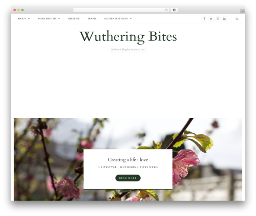 AdRedux – Insert Ads & Codes (adredux) free WordPress plugin - wutheringbites.co.uk