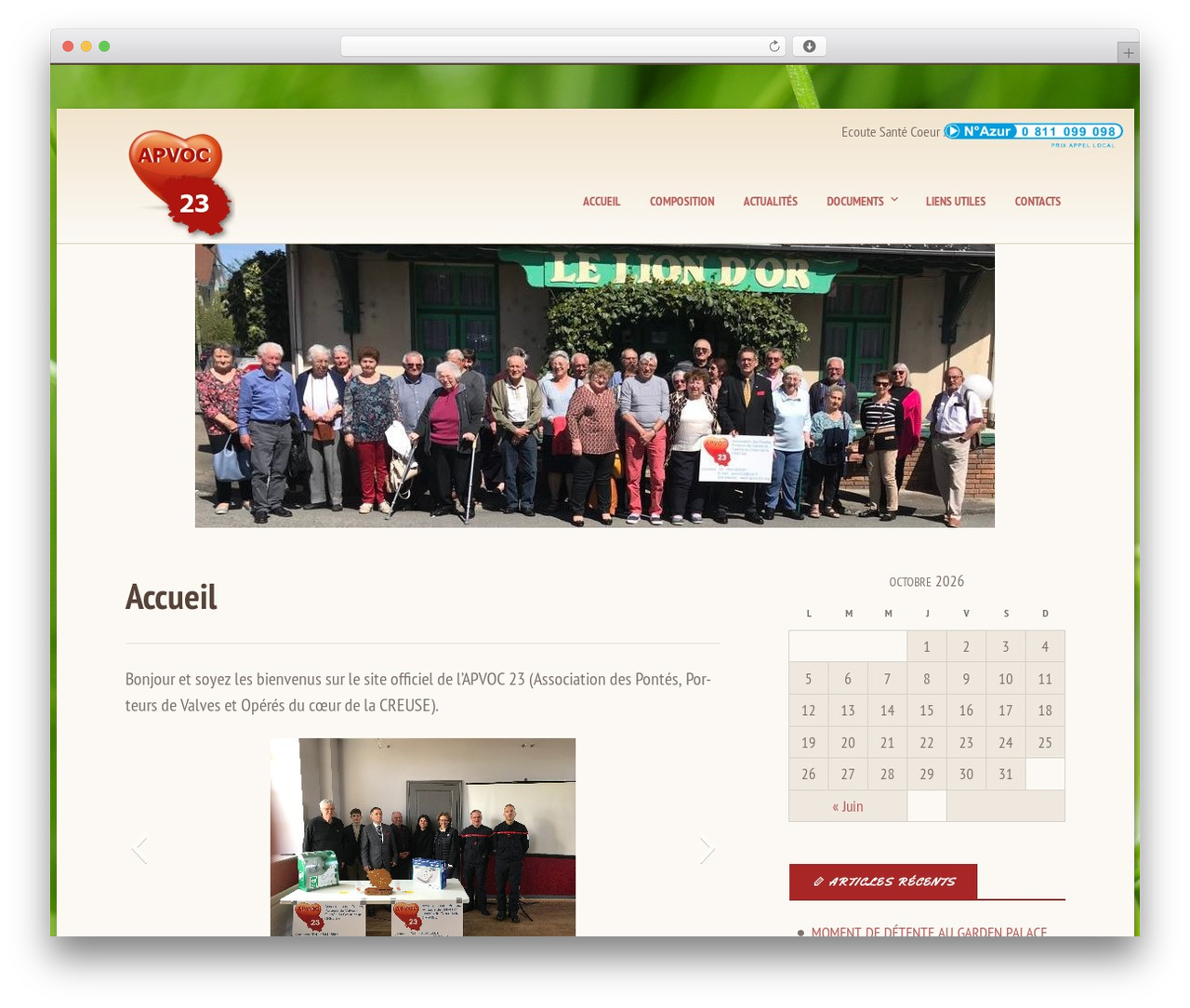 Stargazer WP theme - apvoc23.org Stargazer WP theme - apvoc23.org