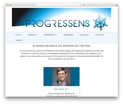 X email mailchimp WordPress plugin - progressens.fr