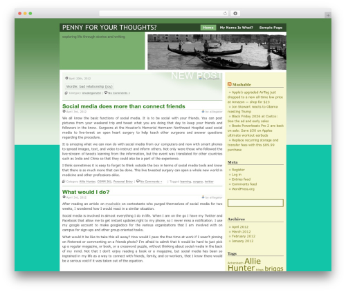 WP theme Dignity - alliegator.onmason.com