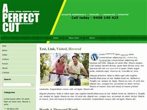 apcm WordPress theme by TWM