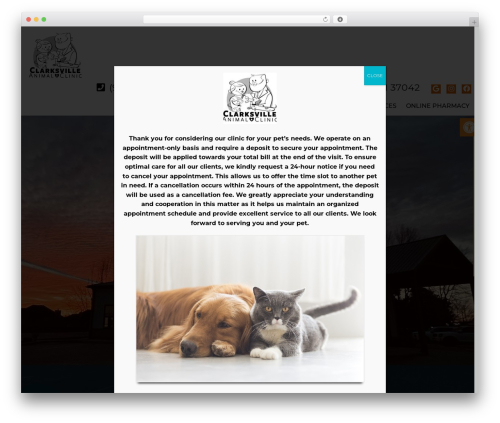 Arrow - Child WP theme - clarksvilleanimalclinic.com