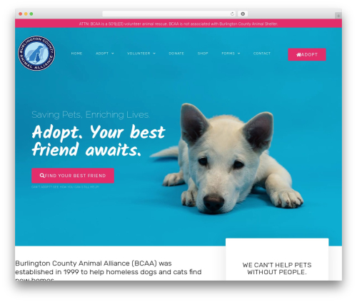 BCAA Theme best WordPress theme - bcaaofnj.org