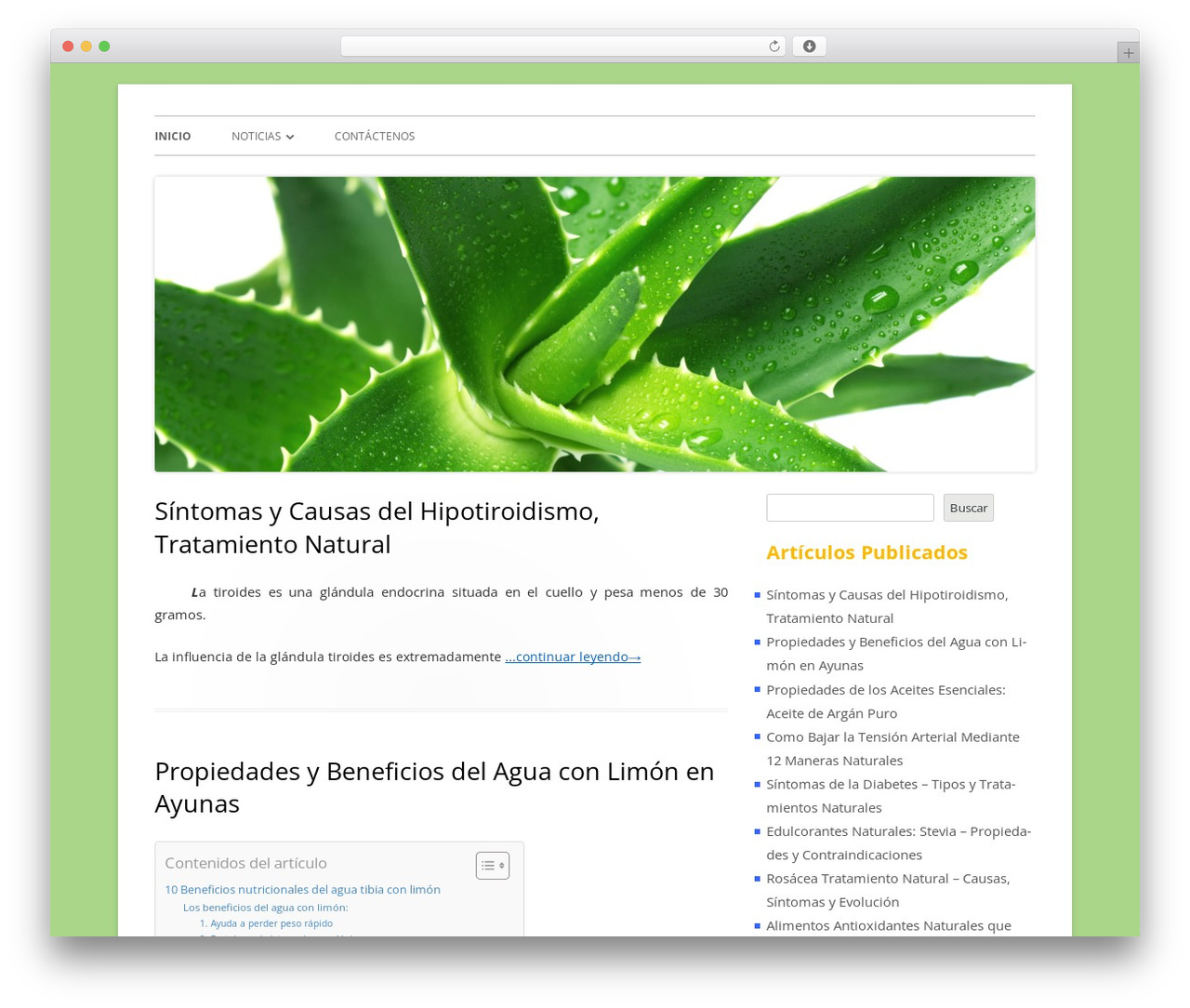 Best WordPress theme Tiny Forge - aloeycalidaddevida.com