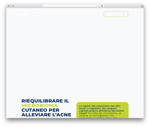 EMcode WordPress theme - primak.it