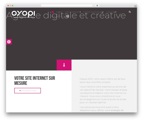 Emcp pro WordPress plugin - oyopi.com