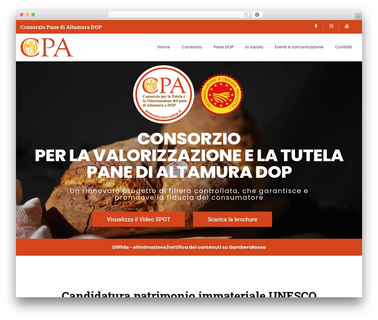 Netcoming Theme theme WordPress - panealtamuradop.it