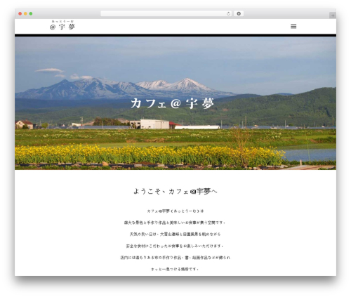 Theme WordPress Liner - atu-m.com