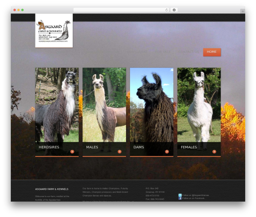 theme1690 WordPress theme design - asgaardllamas.com
