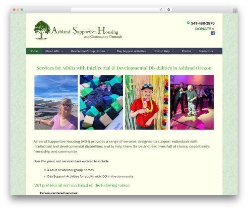 WordPress theme ASH GP - ashlandash.org
