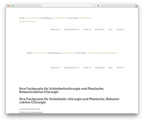 Divi translate main WordPress plugin - feinendegen.ch