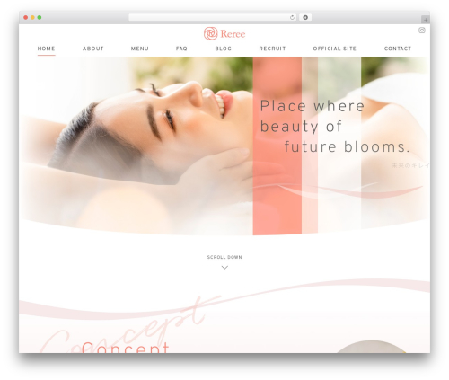 WordPress theme sg072 - reree.info