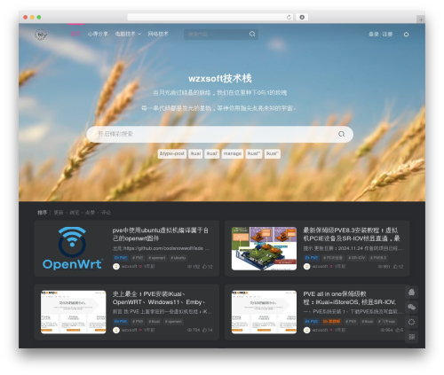 子比主题 theme WordPress - wzxsoft.net