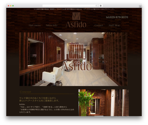ソラ WordPress theme - asfido.com