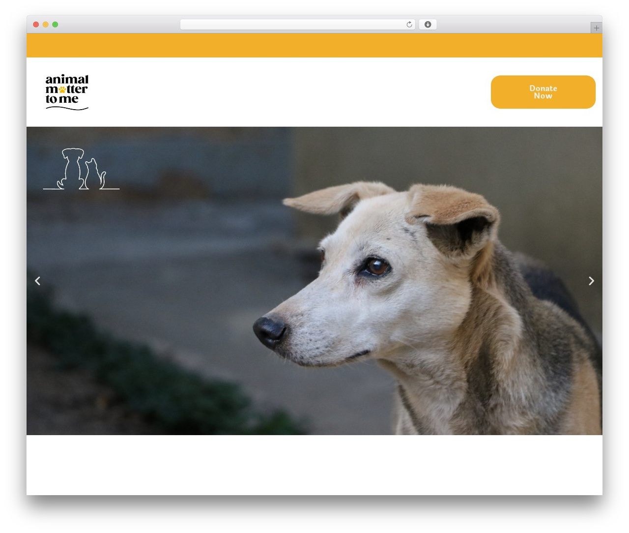 Hello Elementor WordPress theme - amtmindia.org