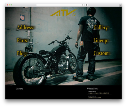 theme_clm1 WordPress theme - atv-ms.com