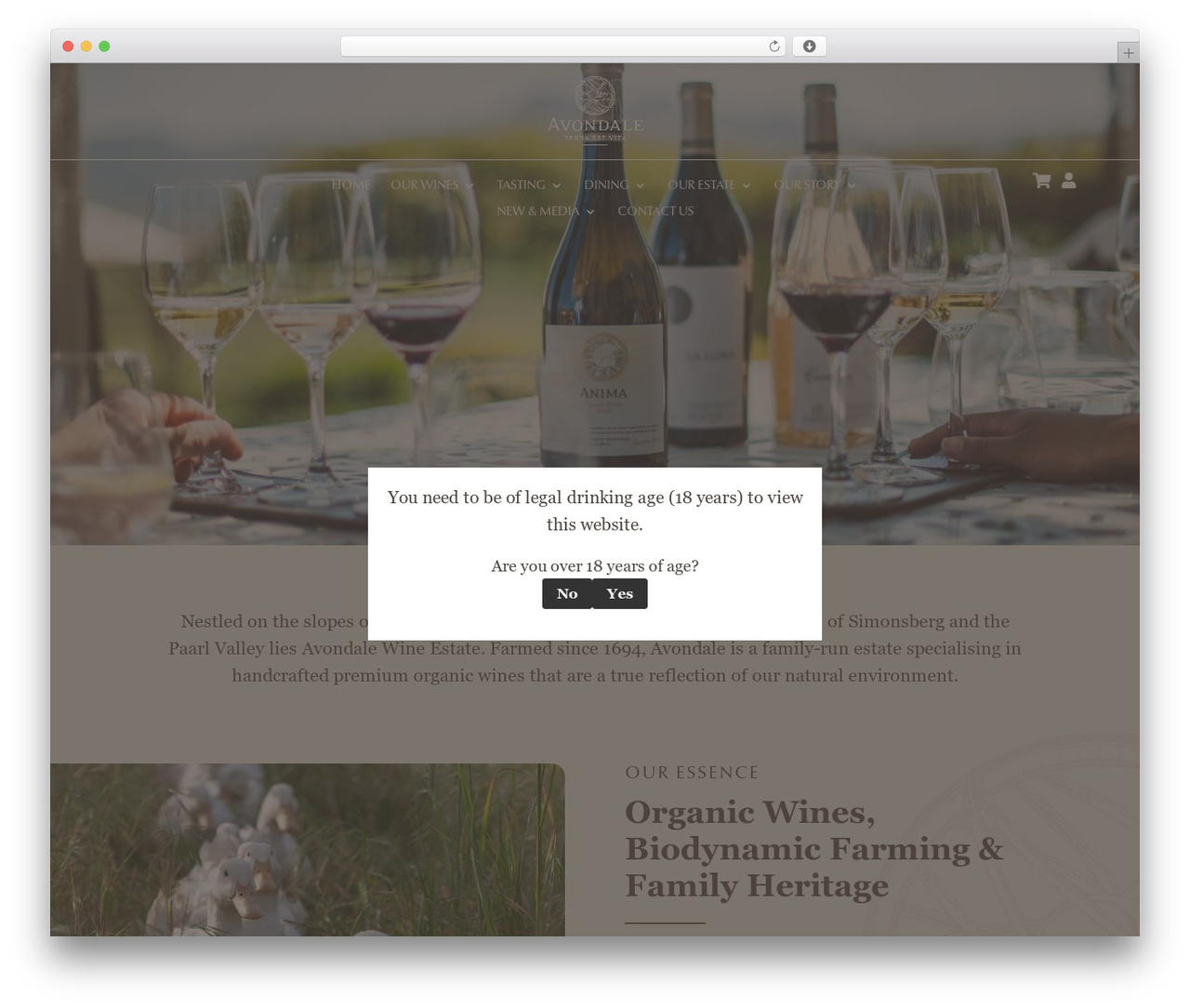 WordPress website theme Divi - avondalewine.co.za WordPress website theme Divi - avondalewine.co.za