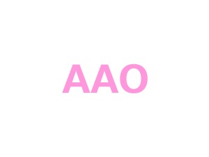 AAO WordPress theme