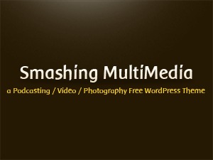 AV2 MULTIMEDIA top WordPress theme by Sarah Neuber