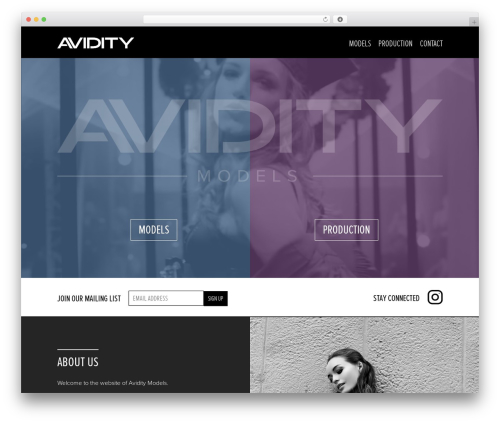Avidity Models theme WordPress - aviditymodels.com