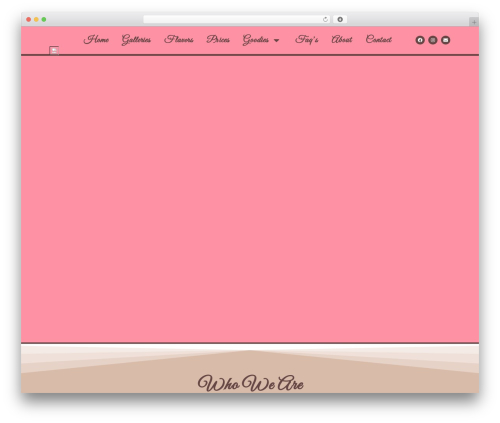 Best WordPress theme Hello Elementor - debsdelightschelan.com