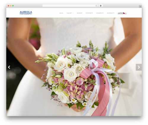 Cesar WordPress theme - aureola.cz/cs