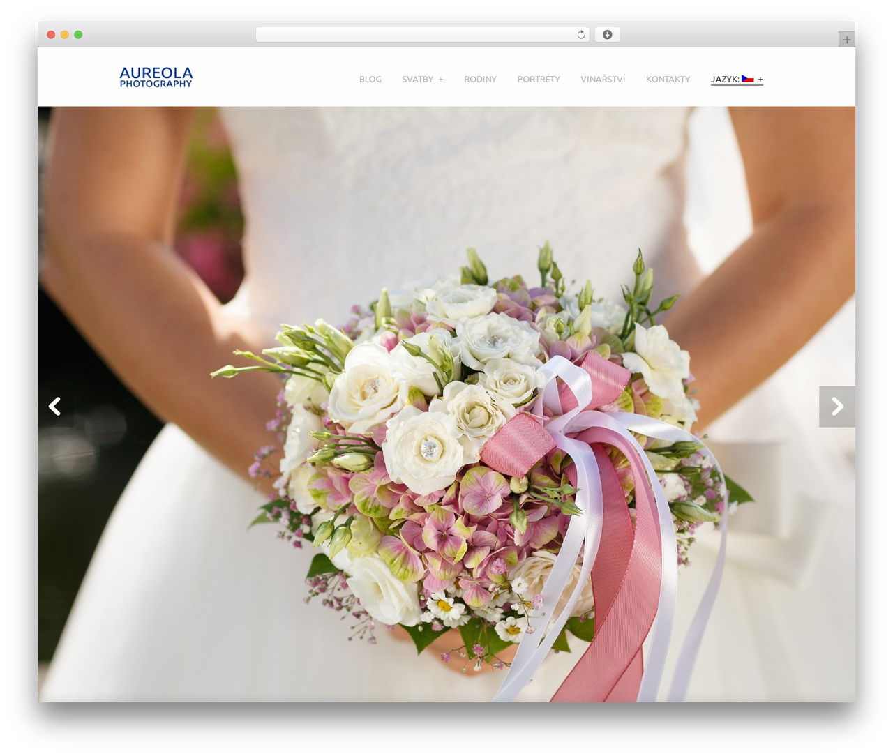 Cesar WordPress theme - aureola.cz/cs Cesar WordPress theme - aureola.cz/cs
