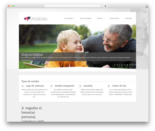 Felis WordPress theme - anunciata.com