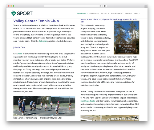 Rare WordPress website theme - valleycentertennis.club