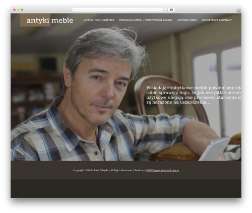 Site premium WordPress theme - antyki-meble.net