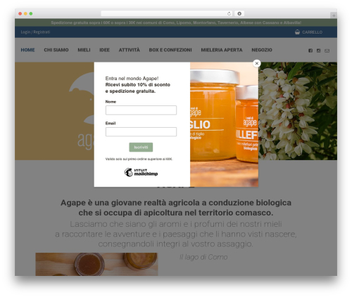 Nexi XPay (cartasi-x-pay) free WordPress plugin - apeagape.com Nexi XPay (cartasi-x-pay) free WordPress plugin - apeagape.com