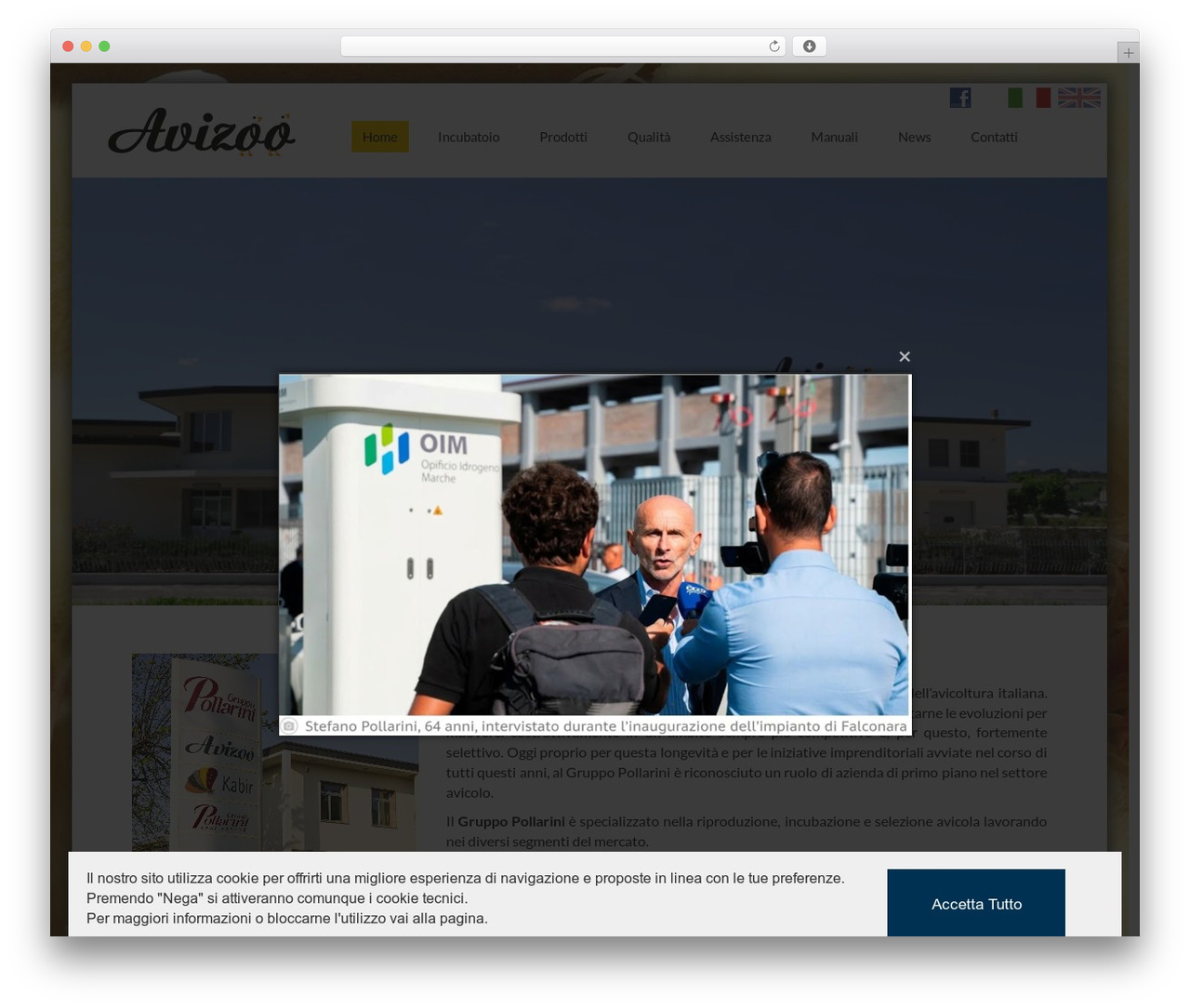 WordPress theme Avizoo - avizoo.com/it