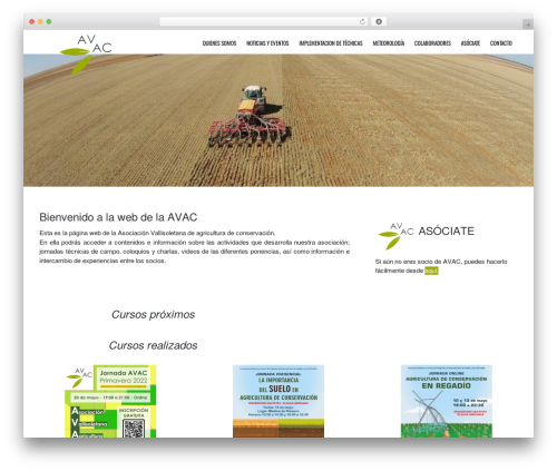 WordPress theme Etch - avac.es