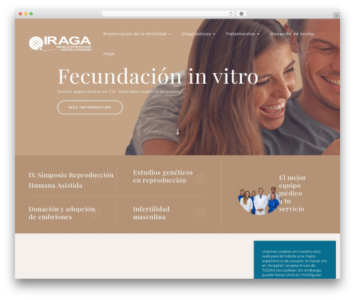 WordPress theme Divi - iraga.net