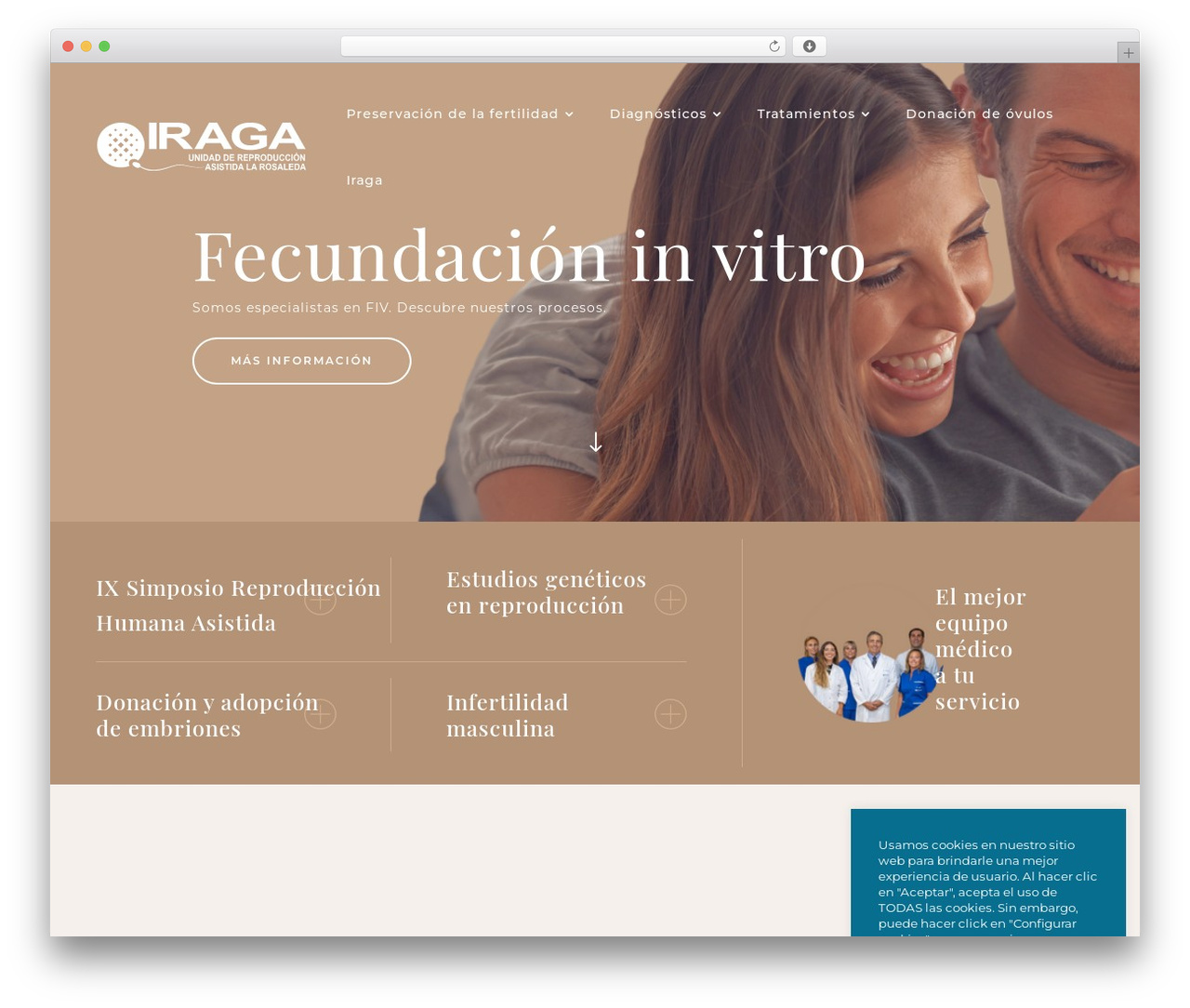 WordPress theme Divi - iraga.net