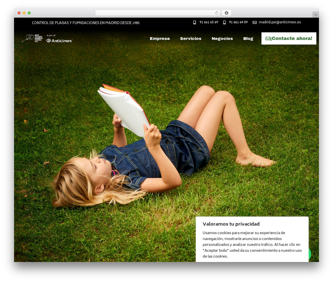 WordPress theme Hello Elementor Child - pestsystem.es