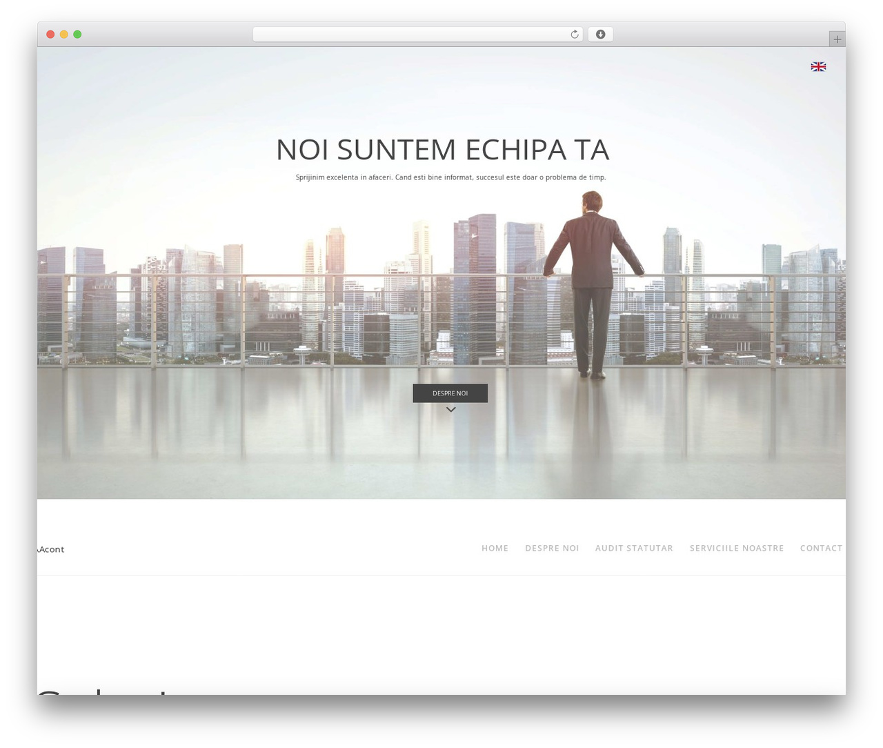 WP Suarez WordPress theme - aacont.ro