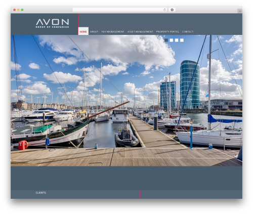 WP theme DBS - avongoc.com